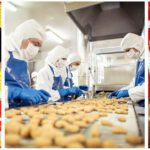 Top 8 Food Processing Companies in India