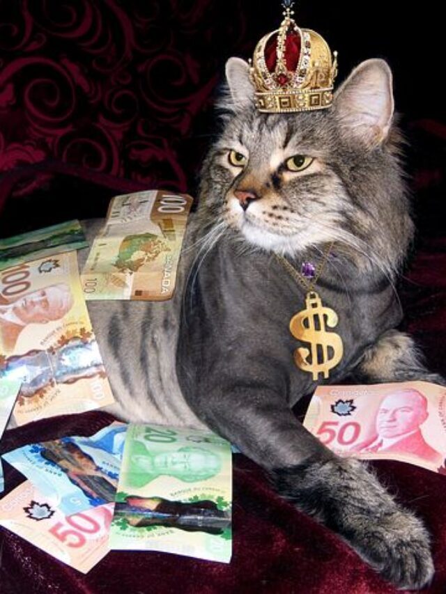 Top 10 Richest Animals in the World 2023