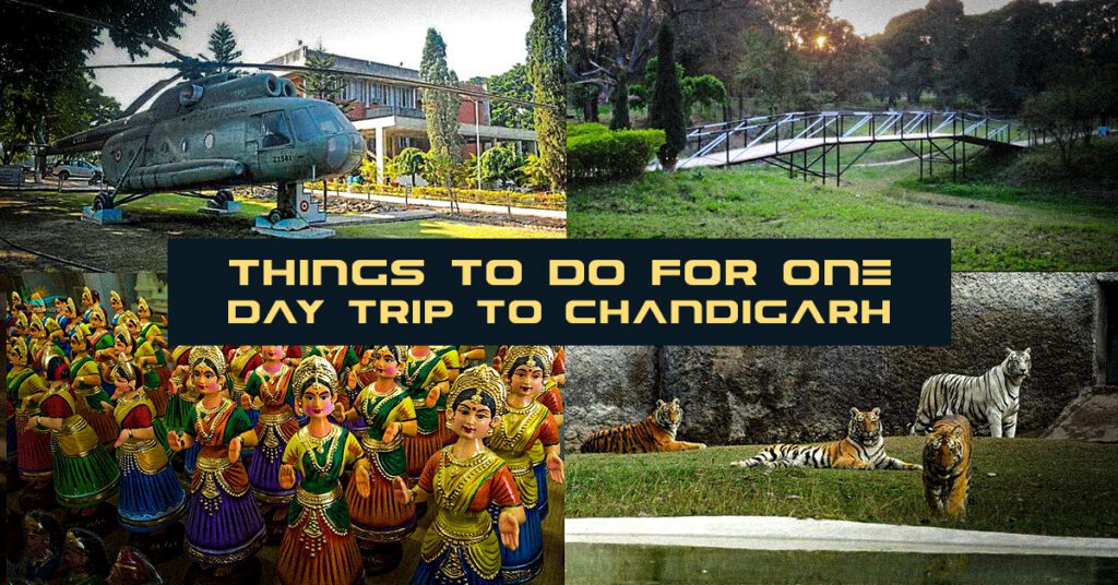 20 Things to Do for One Day Trip to Chandigarh