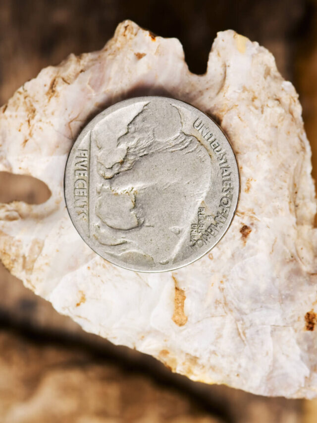Top 9 of the Buffalo Indian Nickel Values